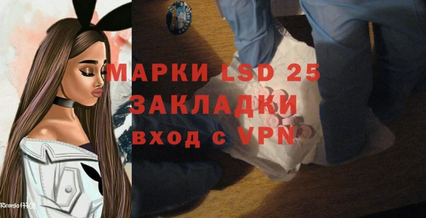 мдпв Верея