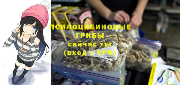мдпв Верея