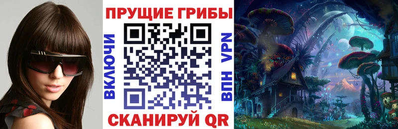 где найти   Сочи  Псилоцибиновые грибы Psilocybine cubensis 